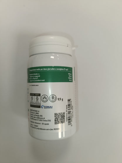 Bintegra Paindolforte